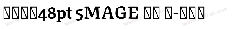 字体大小48pt 5MAGE 预览 简字体转换